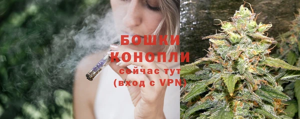 метадон Каменногорск