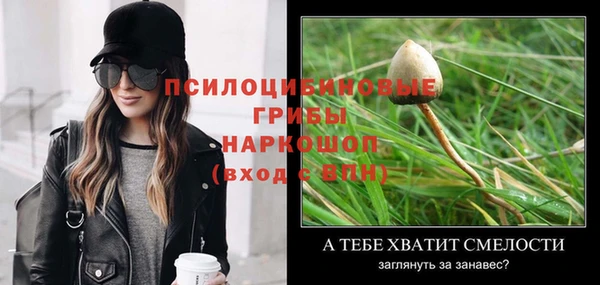 гашик Каменск-Шахтинский
