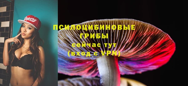 герыч Каменка