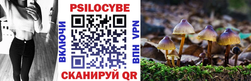 Купить  Опочка  Псилоцибиновые грибы мицелий 